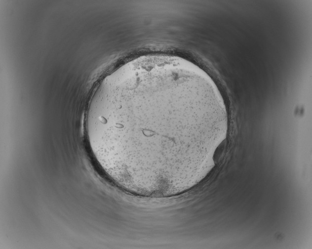 X0000114680019200911181241