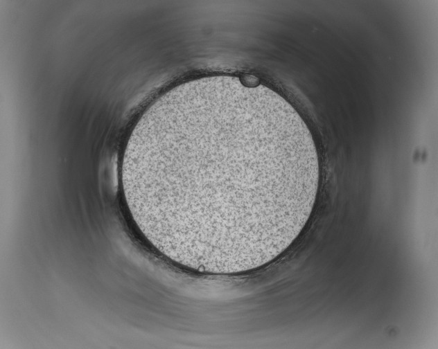 X0000114680020200911181241