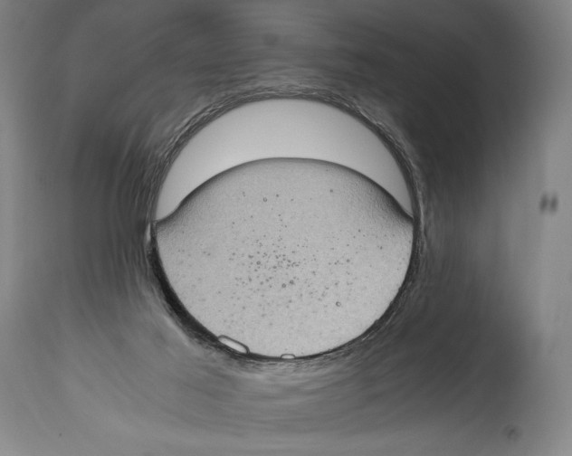 X0000114680021200911181241