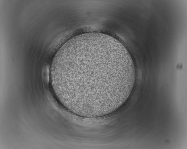 X0000114680022200911181241