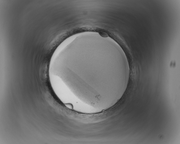 X0000114680023200911181241
