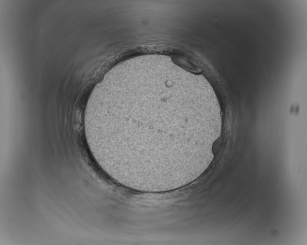 X0000114680025200911181241