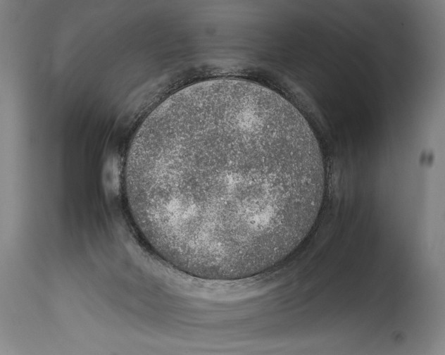 X0000114680026200911181241