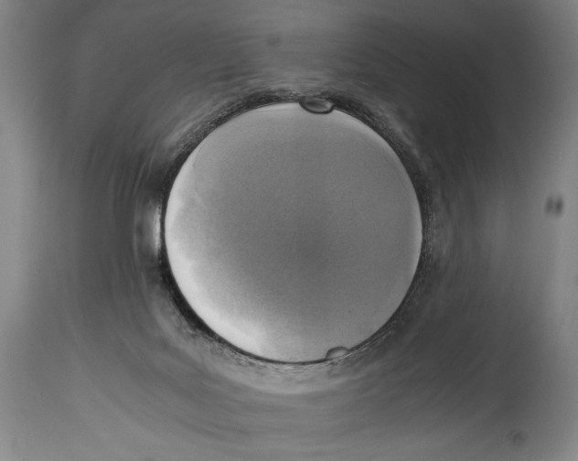 X0000114680027200911181241