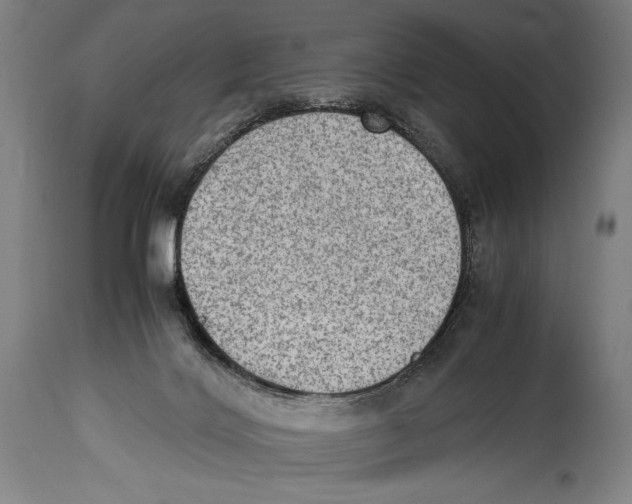X0000114680028200911181241