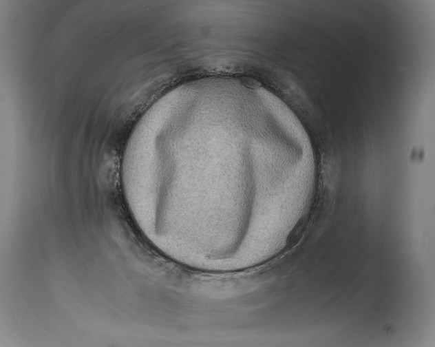 X0000114680029200911181241