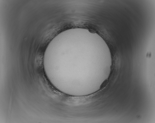 X0000114680033200911181241