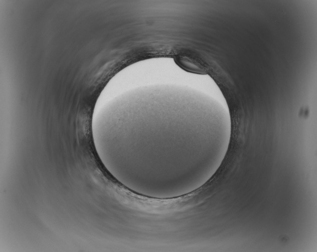 X0000114680035200911181241