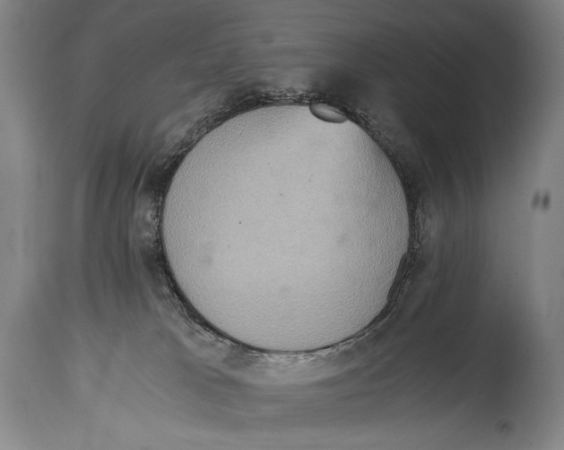 X0000114680037200911181241