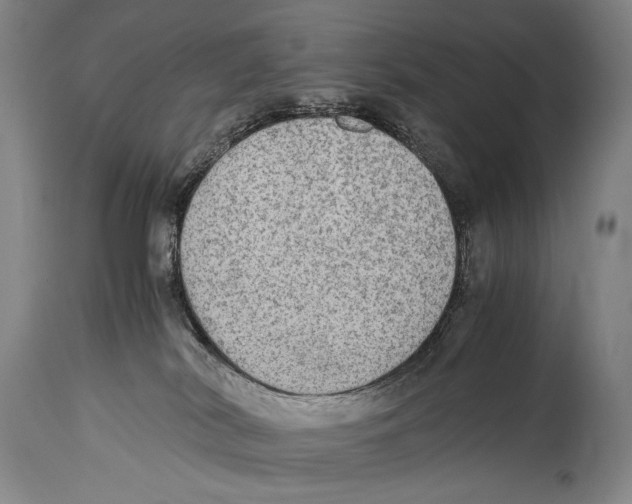 X0000114680038200911181241