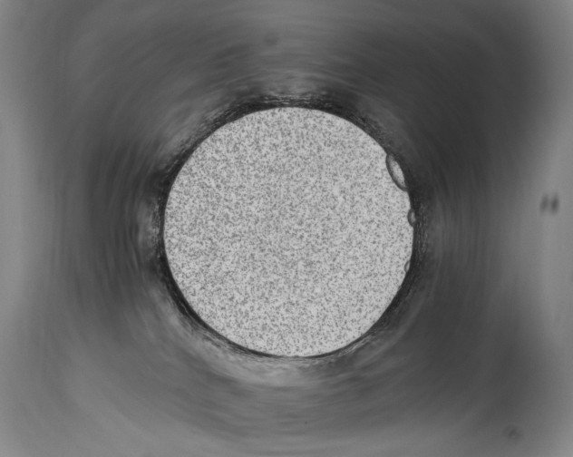 X0000114680040200911181241