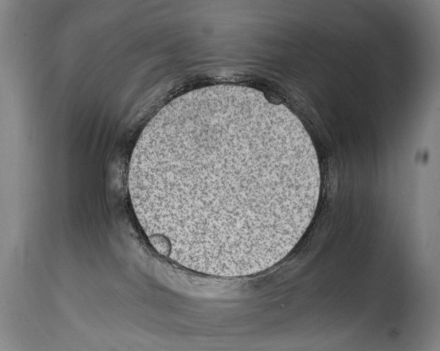 X0000114680044200911181240