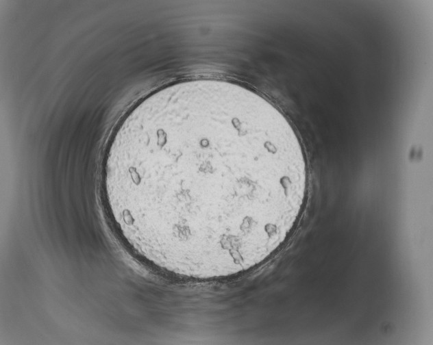 X0000114680049200911181240
