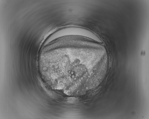 X0000114680050200911181240