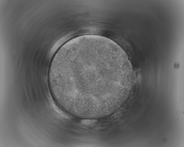 X0000114680051200911181240