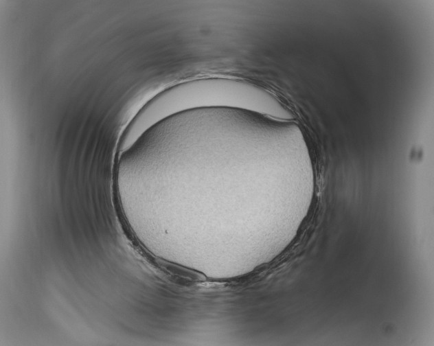 X0000114680052200911181240