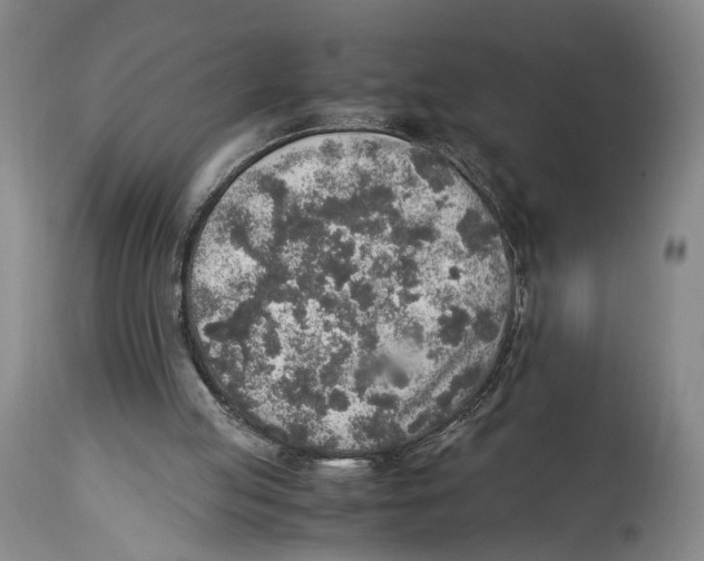 X0000114680053200911181240