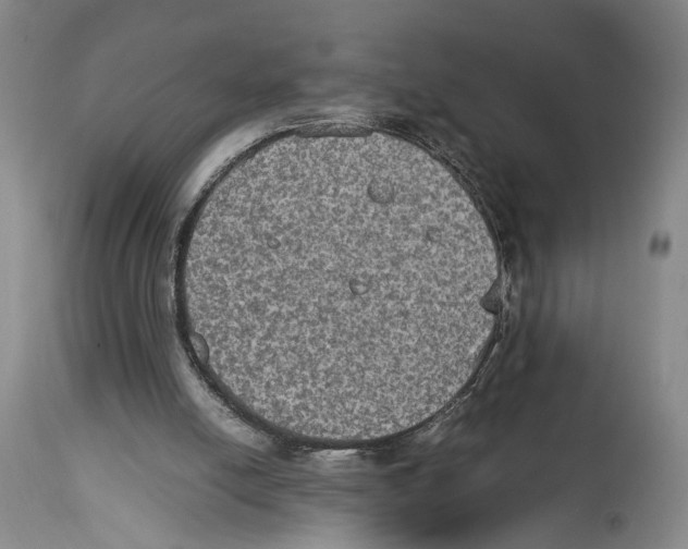 X0000114680054200911181240