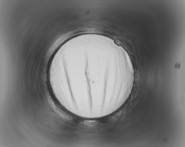 X0000114680055200911181240
