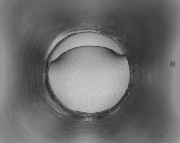 X0000114680056200911181240
