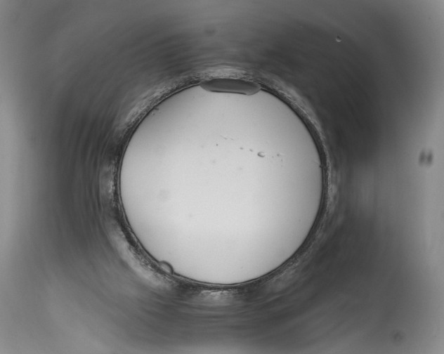 X0000114680057200911181240