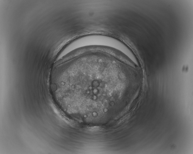 X0000114680058200911181240
