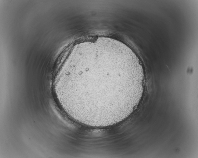 X0000114680059200911181240