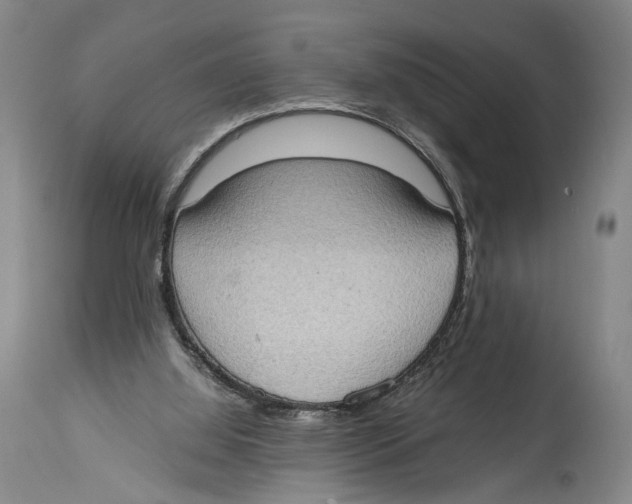 X0000114680060200911181240