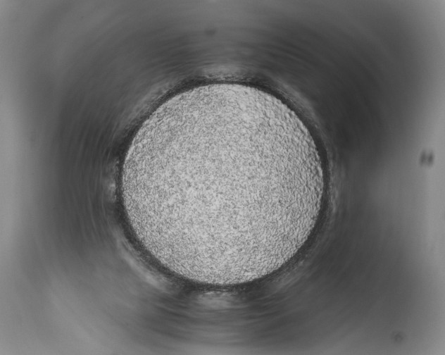 X0000114680065200911181240
