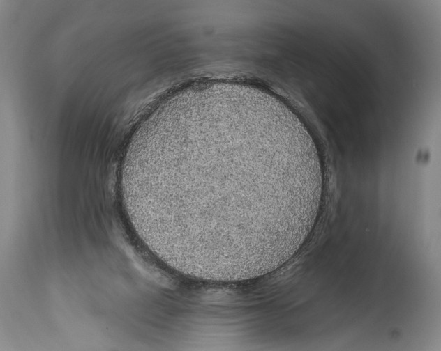 X0000114680066200911181240