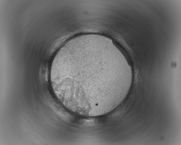 X0000114680068200911181240