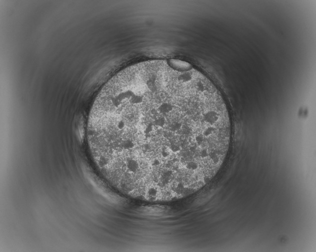X0000114680069200911181240
