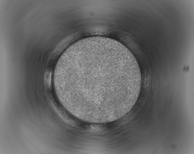 X0000114680070200911181240