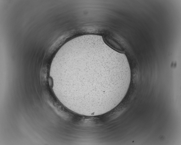X0000114680072200911181240