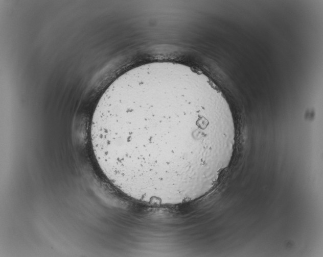 X0000114680074200911181240