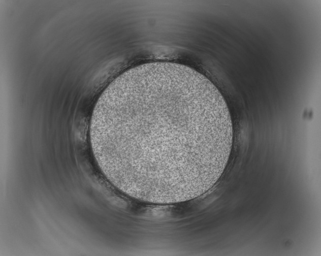 X0000114680078200911181240