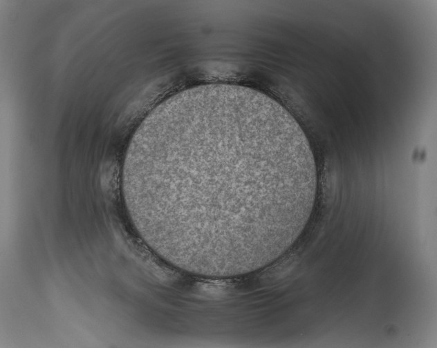 X0000114680079200911181240