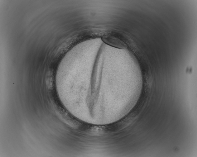 X0000114680080200911181240