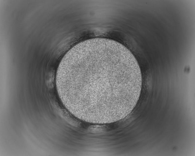 X0000114680082200911181240