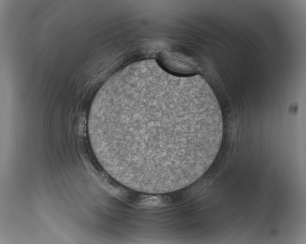 X0000114680083200911181240