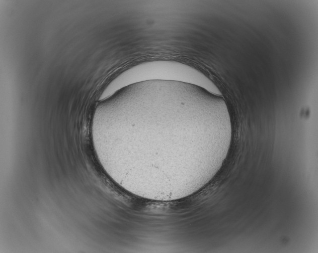 X0000114680084200911181240
