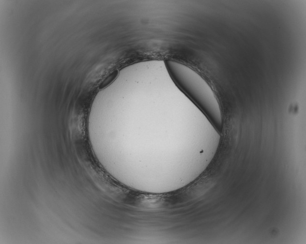 X0000114680088200911181240