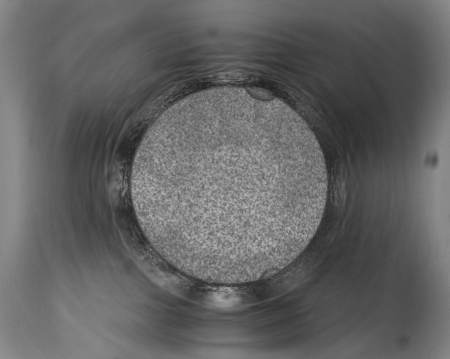 X0000114680091200911181240