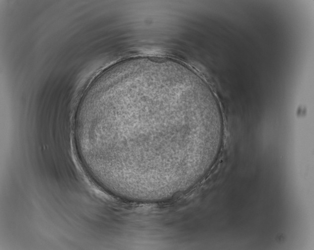 X0000114680097200911181240