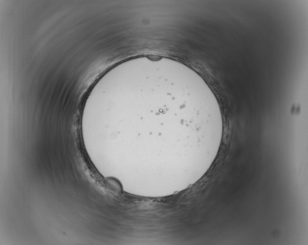 X0000114680098200911181240