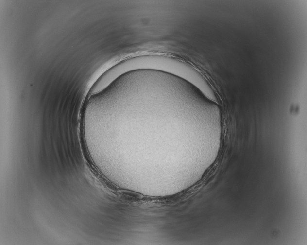 X0000114680100200911181240