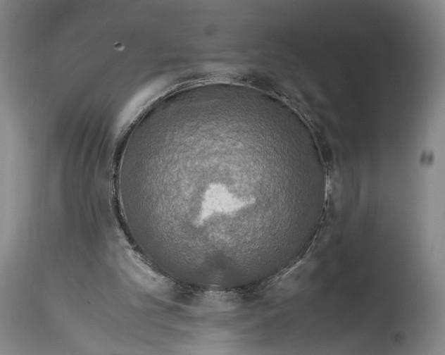 X0000114680101200911181240