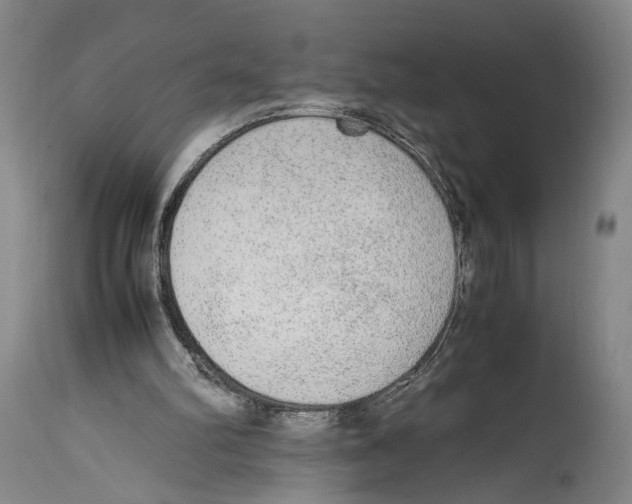 X0000114680102200911181240
