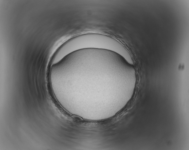 X0000114680104200911181240