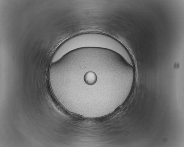 X0000114680105200911181240